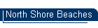 North Shore Beaches