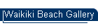 Waikiki Beach Gallery